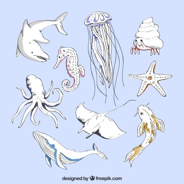 Нарисовать морских обитателей