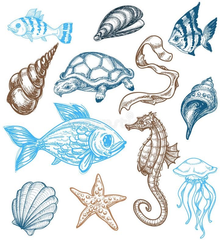 Лёгкие рисунки на морскую тему