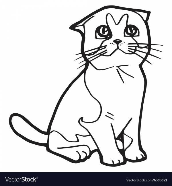 Вислоухий кот арт