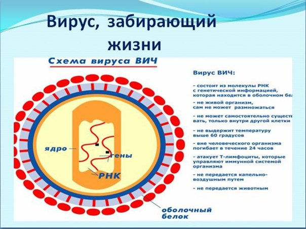 Схема вируса ВИЧ