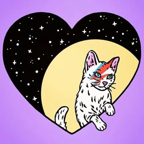 Арт кота поп Кэта