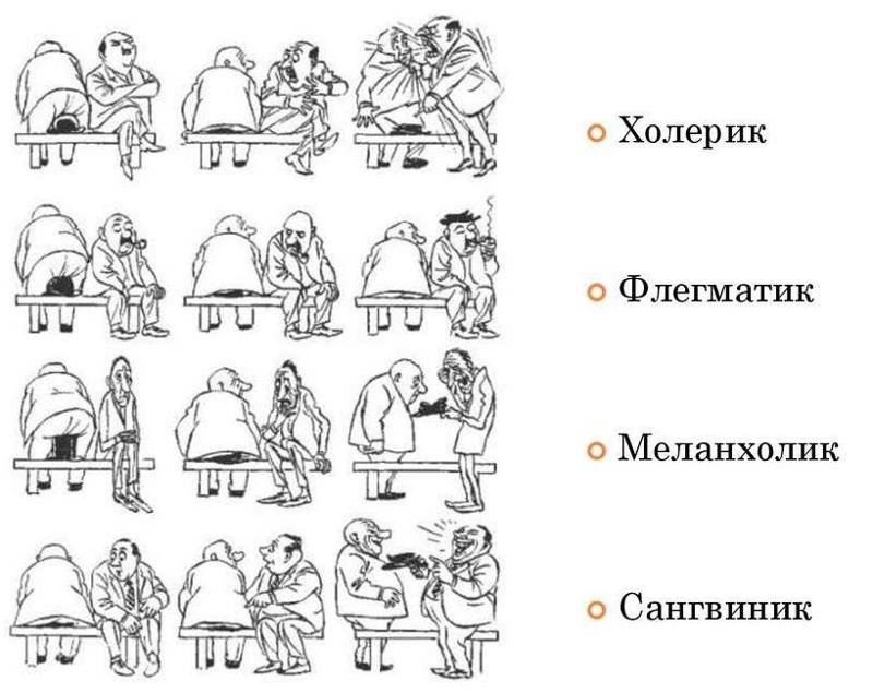 Типы личности меланхолик сангвиник