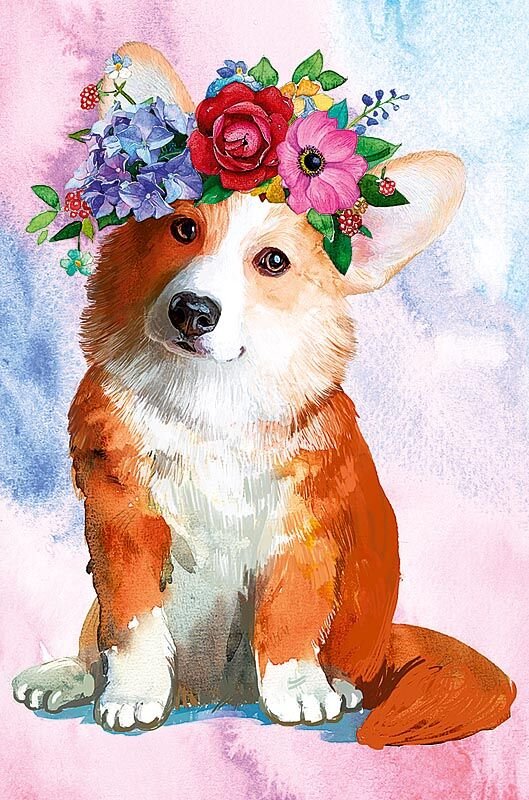 Корги с днем рождения