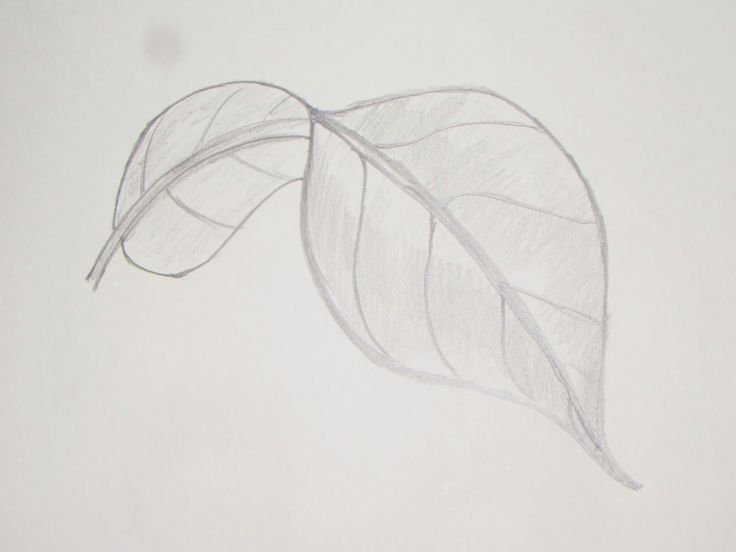 Рисунок легкий