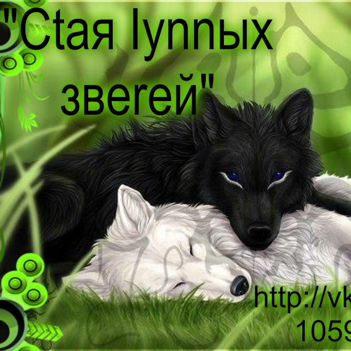 Волк и волчица