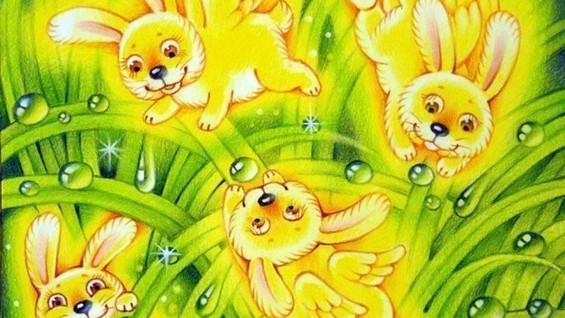 Солнечный заяц