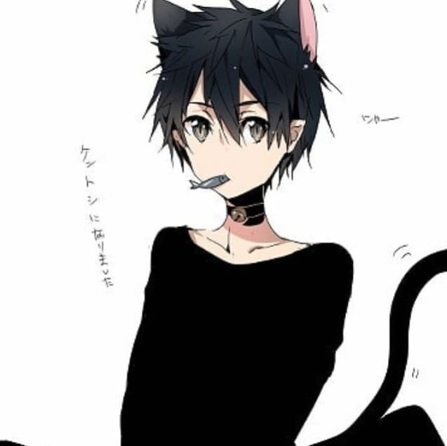 Кошкомальчик аниме