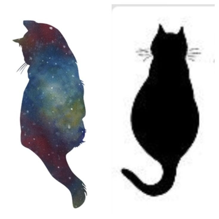 Кот сидит спиной