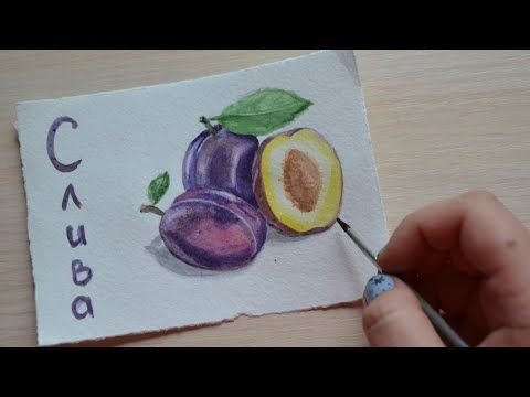 Слива карандашом