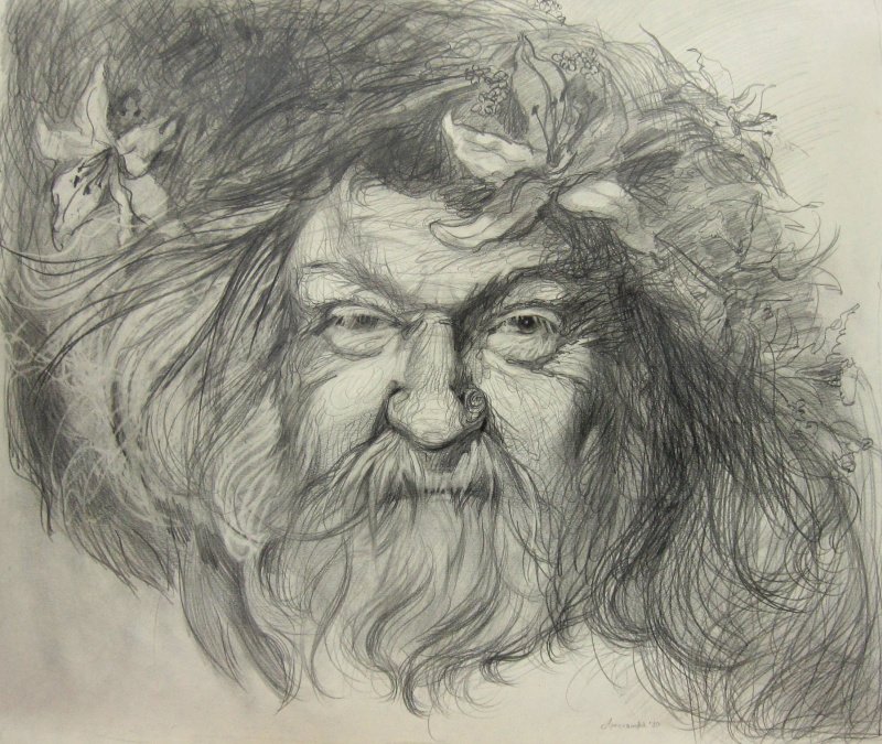 Лесной царь Шуберт рисунок