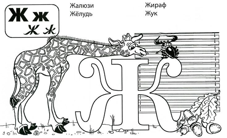 Буква ж задания для дошкольников