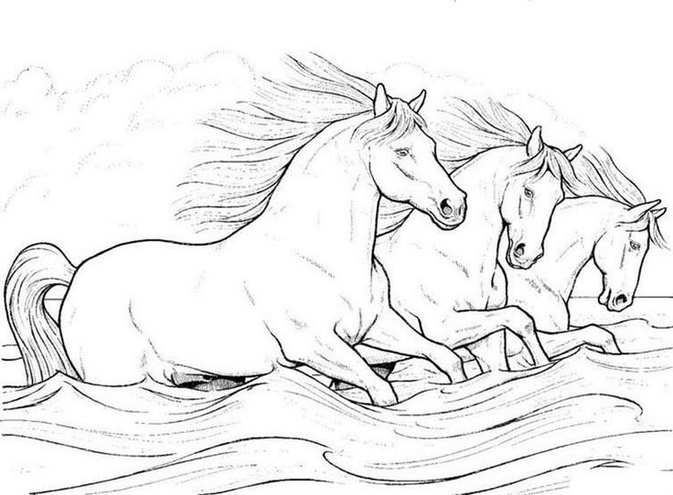 Лошадь рисунок
