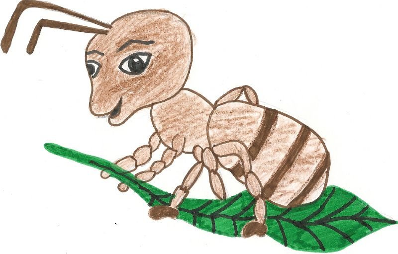 Рисование муравья