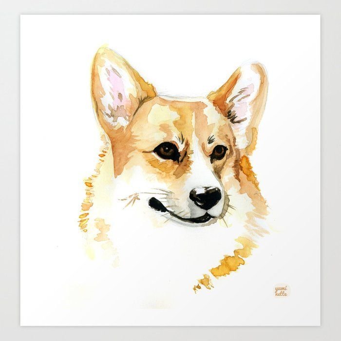 Корги акварелью