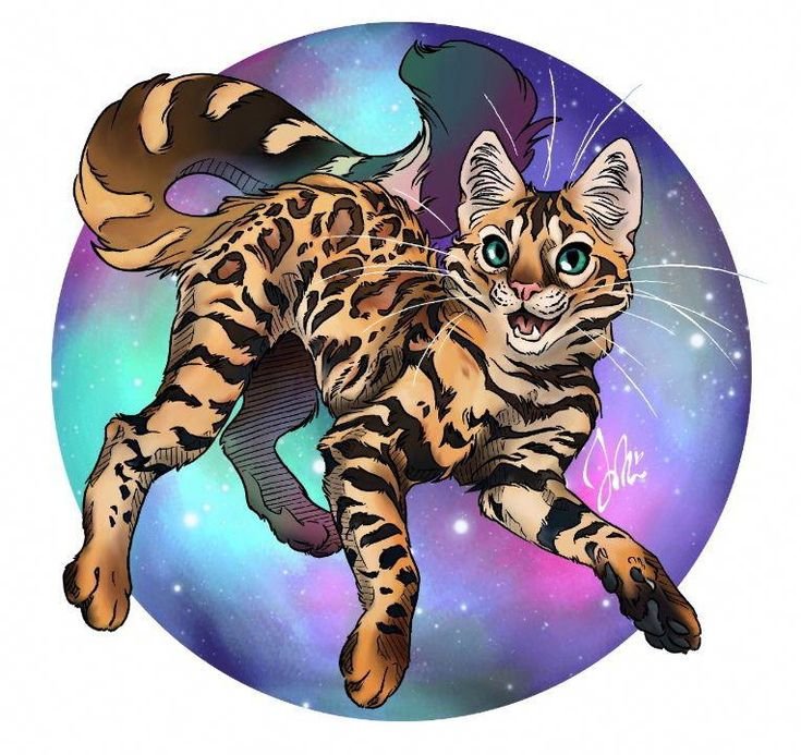 Бенгальская кошка