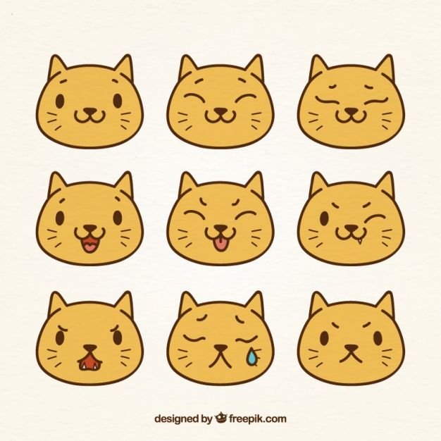 Котики с разными эмоциями