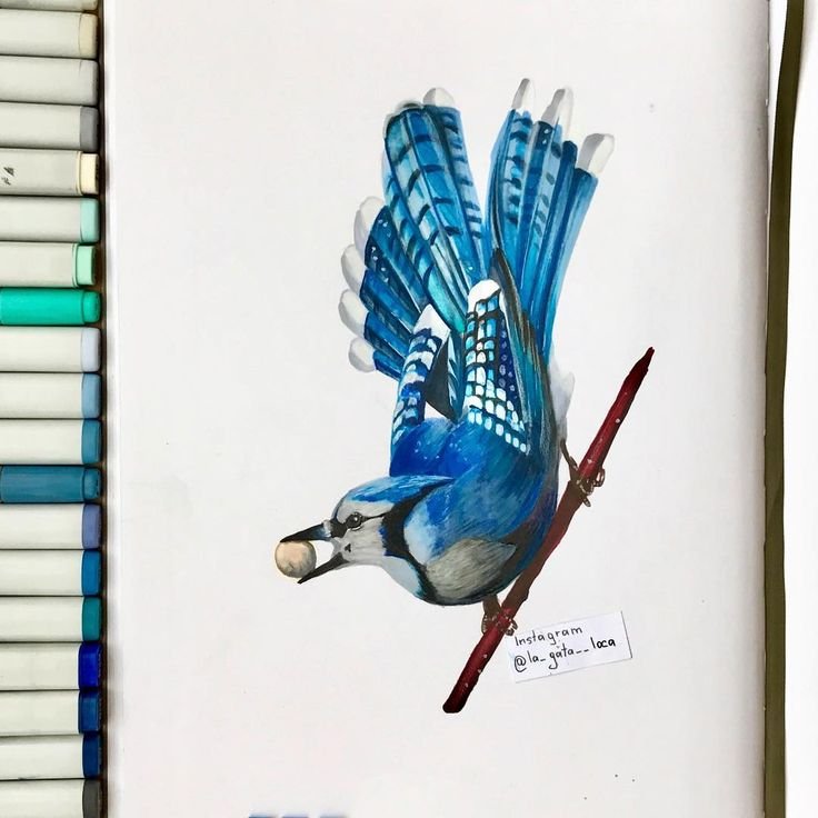 Птица фломастерами