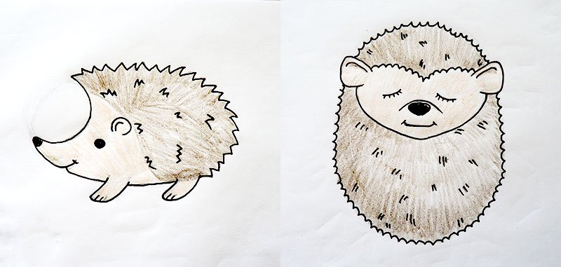 Рисунок ежа для срисовки