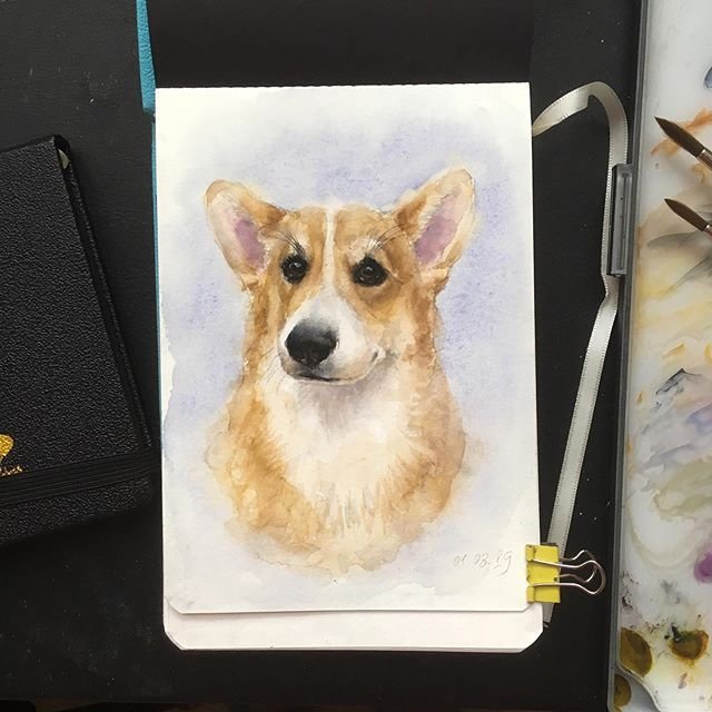 Блокнот с корги