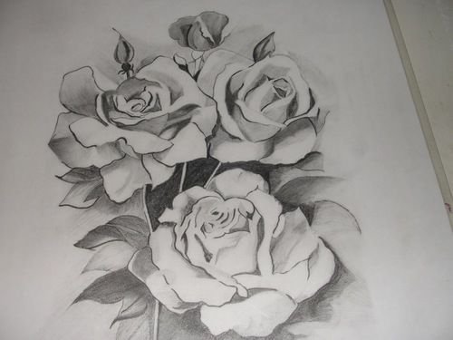 Цветы рисунок карандашом