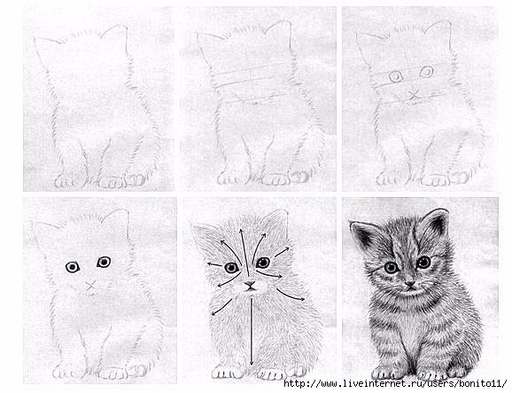 Маленький котенок рисунок