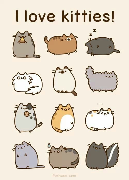 Картинки котиков для срисовки