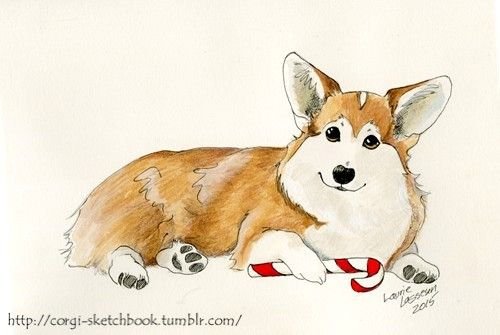 Эскиз корги