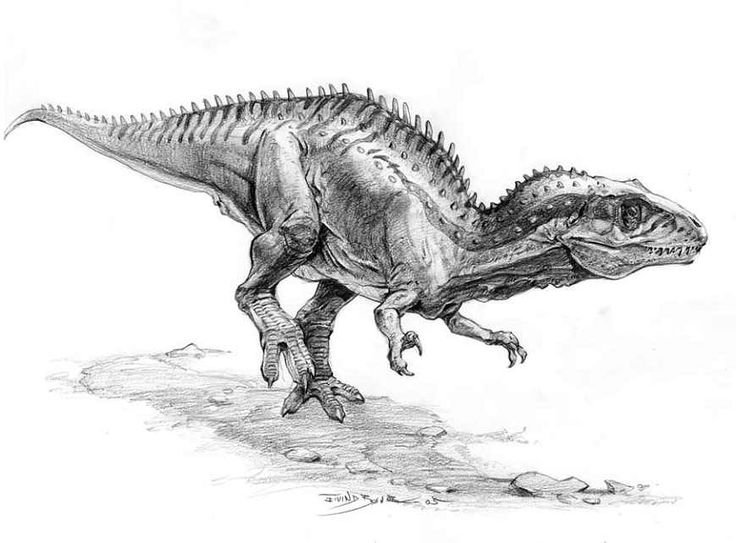 Динозавр рисунок