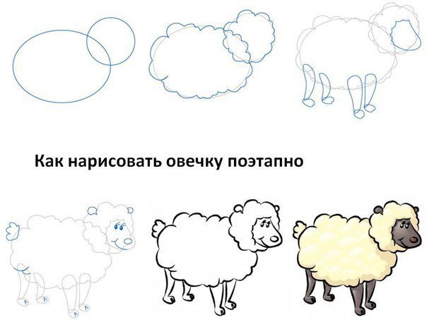 Схема рисования овечки для детей