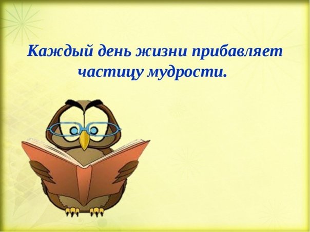 Пословицы о народной мудрости