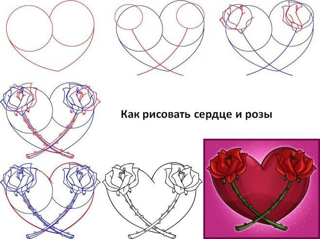 Поэтапное рисование сердца
