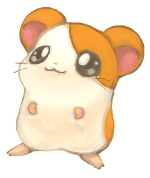 Hamtaro хомяк