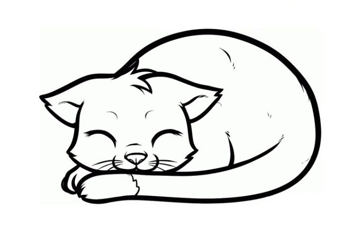 Кот спящий