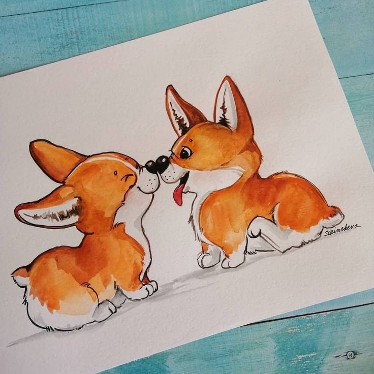Корги рисунок акварелью