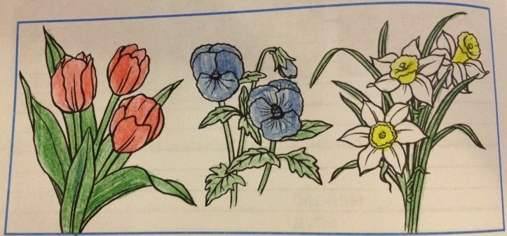 Рисование цветы на клумбе