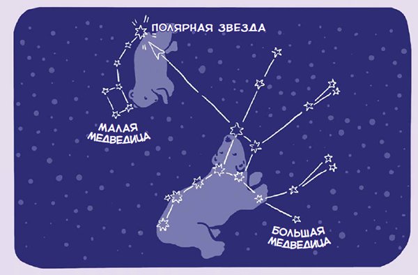 Созвездие малая Медведица и Полярная звезда