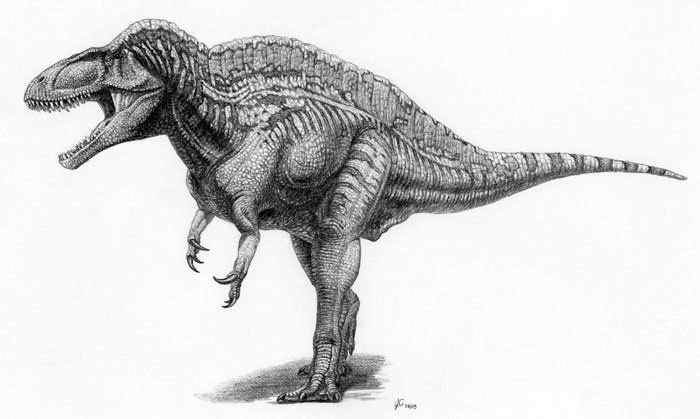 Acrocanthosaurus Atokensis