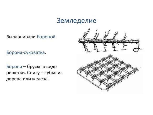 Восточные славяне борона суковатка