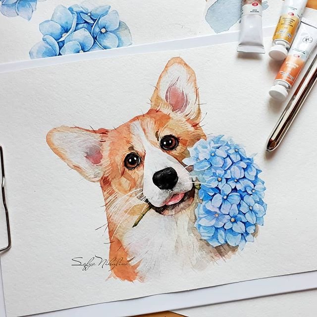Корги скетч акварель