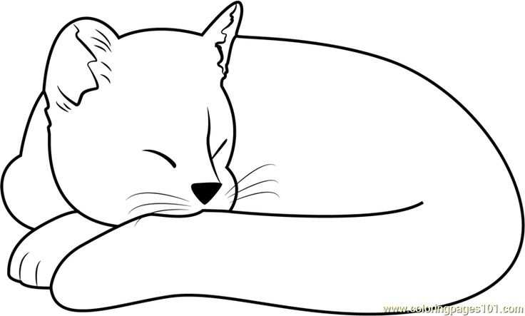 Кошка спит раскраска