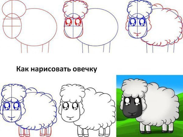 Нарисовать овечку