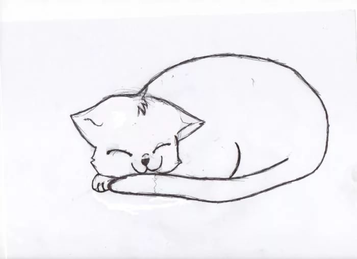 Котик рисунок карандашом для срисовки легкие