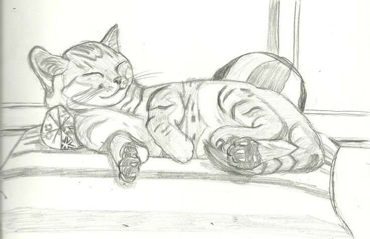 Рисуем лежащую кошку