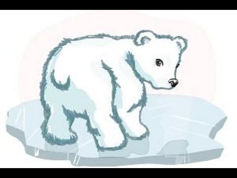 Белый Медвежонок раскраска