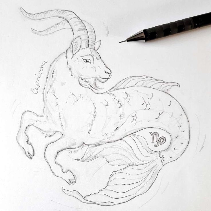 Рисунки для срисовки Козерог