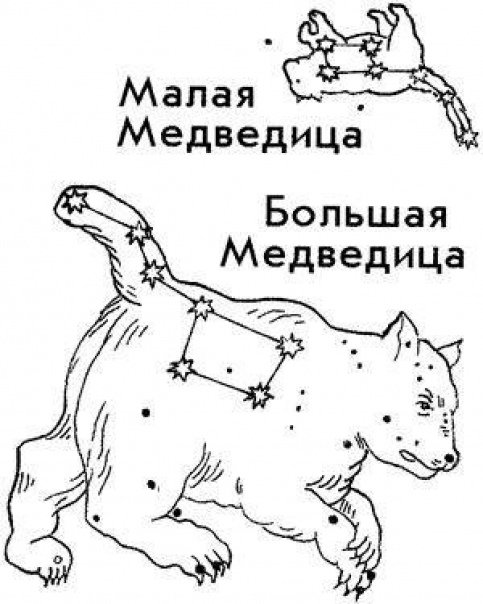 Созвездие медведицы большой и малой раскраска