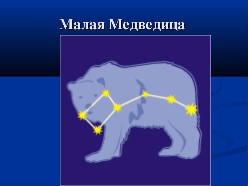 Малая Медведица Созвездие и Полярная звезда схема