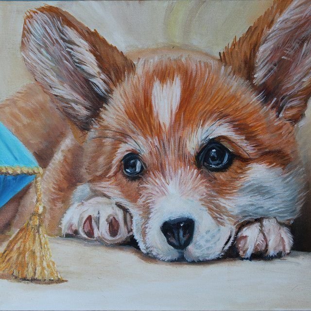 Корги пастелью