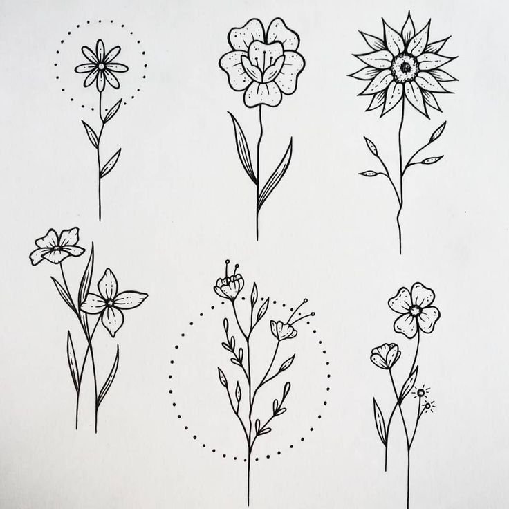 Цветы рисунок эскиз