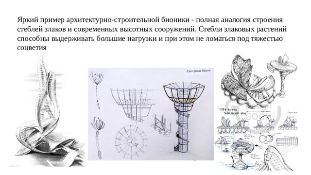 Стилизация бионической формы растения